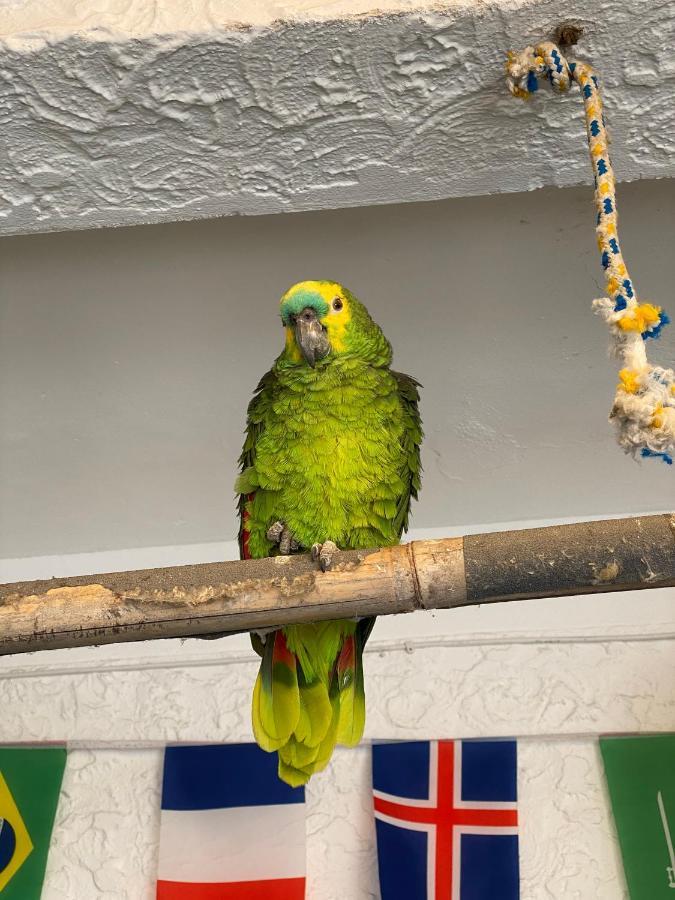 Hostel Maresias Do Leme Рио-де-Жанейро Экстерьер фото